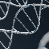 Положительно заряженные ионы помогают двум молекулам ДНК соединяться друг с другом