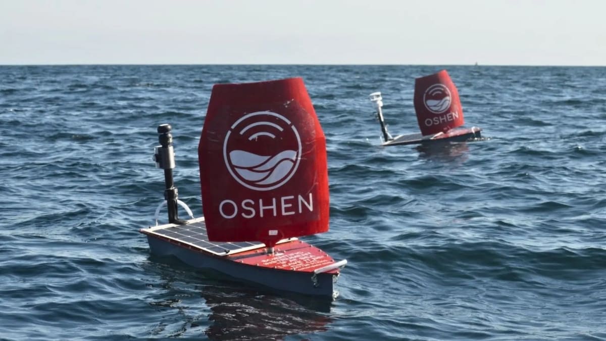 Автономные лодки Oshen C-Star PC13 / © Oshen