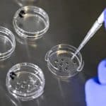 Ученые объяснили проблемы со здоровьем у детей, зачатых через ЭКО