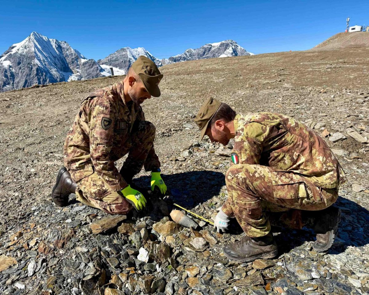 © Julia Alpine brigade