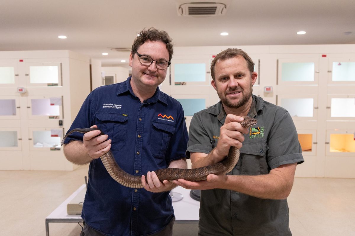 © Australian Reptile Park