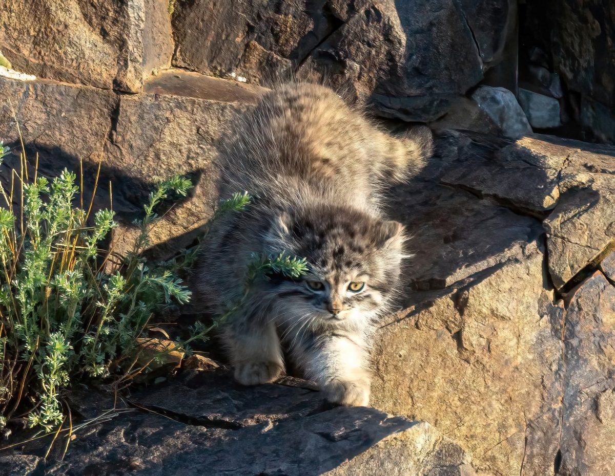 © Николай Орлов, NikolayOrlovTravelPhotos / Telegram
