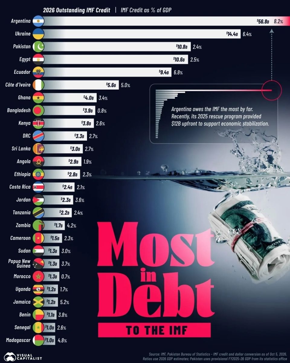 Рейтинг стран с крупнейшими долгами перед МВФ / © Visual Capitalist