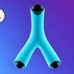 Физики нашли лазейку, через которую черная дыра может разделиться на две