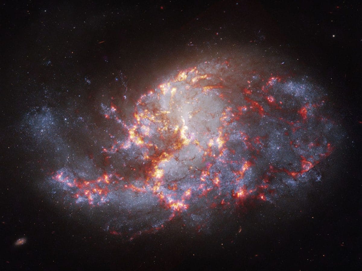 NGC 1385 / © NASA / CXC / SAO
