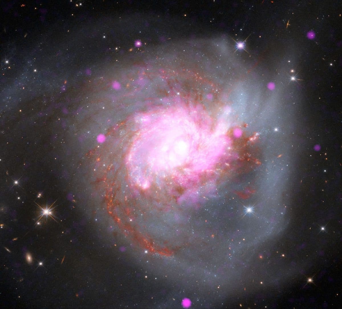 NGC 3256 / © NASA / CXC / SAO