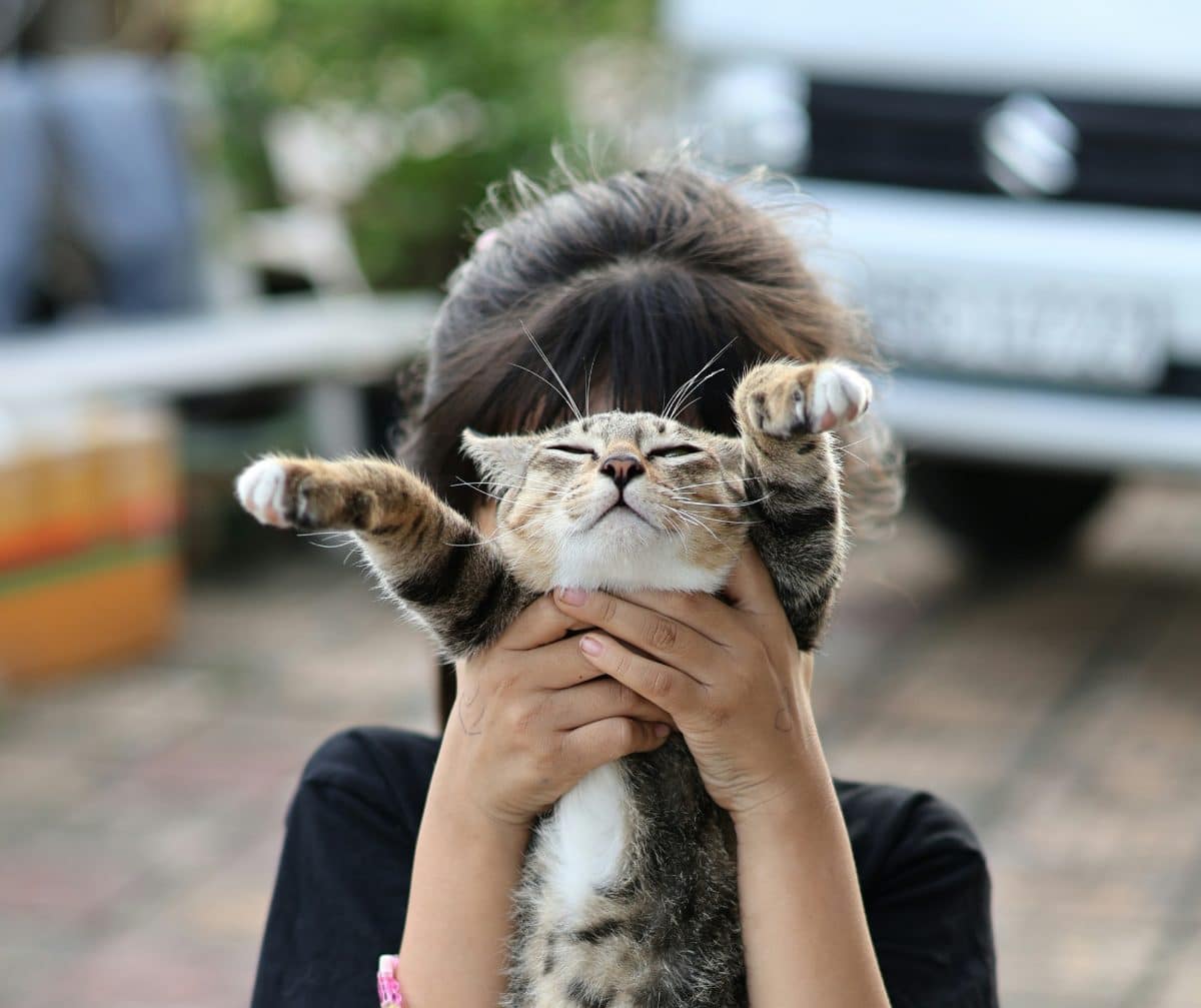 © Huỳnh Tấn, unsplash.com