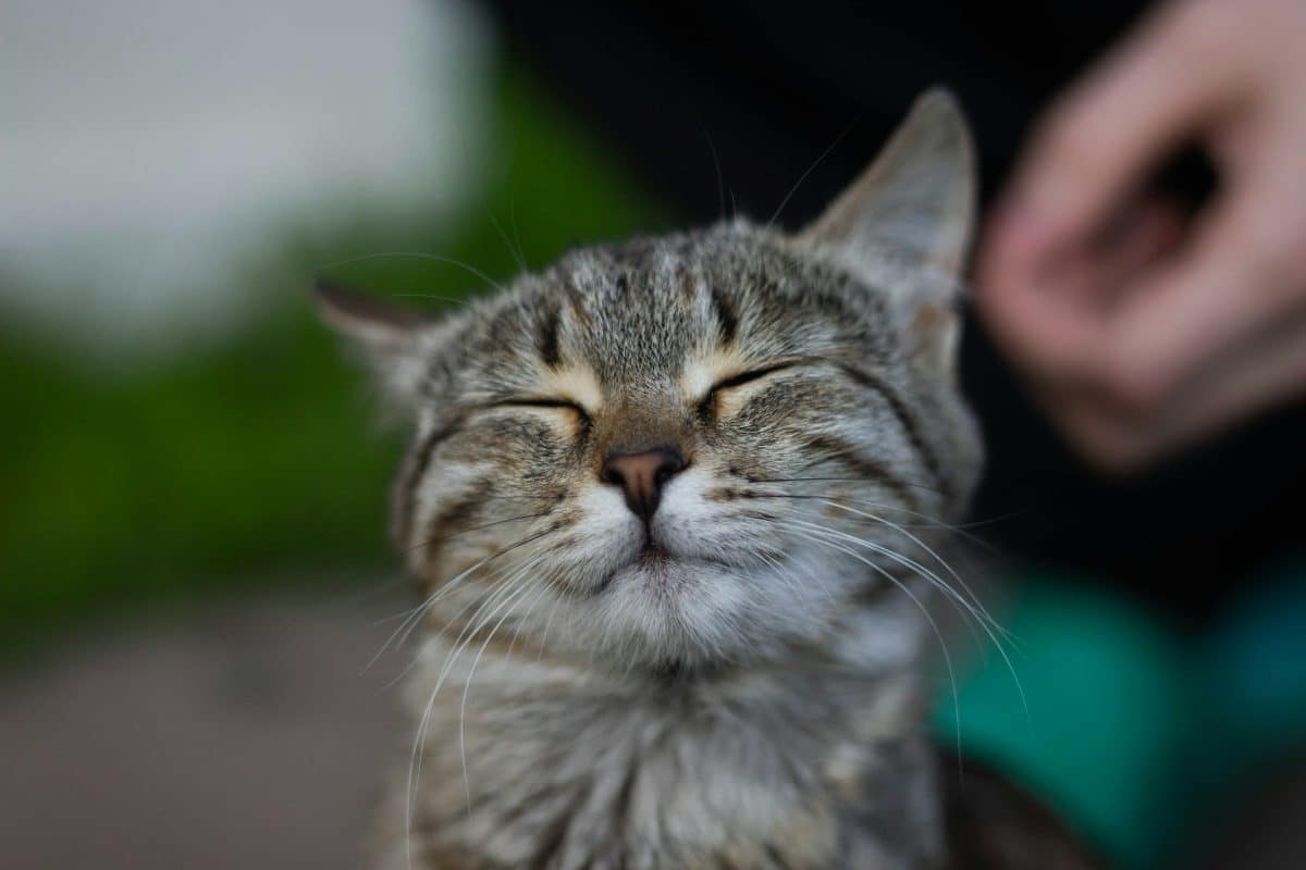 © Ilias Gainutdinov, unsplash.com