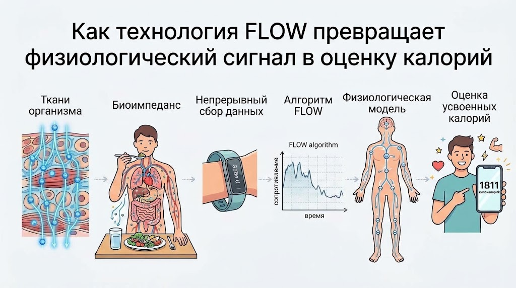 Чтобы получить сравнительно точную оценку калорий, устройству и его ПО приходится пройти через несколько этапов, включающих сложное численное моделирование