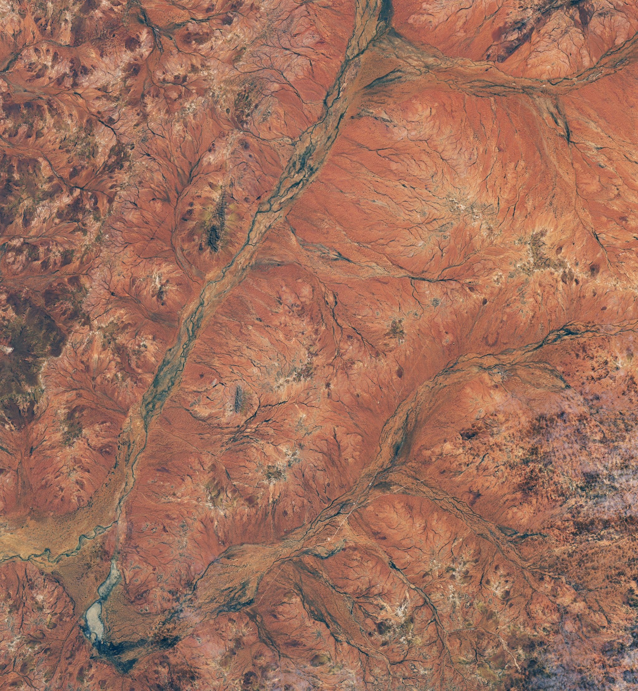 Район Мерчисон 19 августа 2025 года, более сухой сезон. Снимок Landsat 8 / © Lauren Dauphin, NASA Earth Observatory; данные USGS