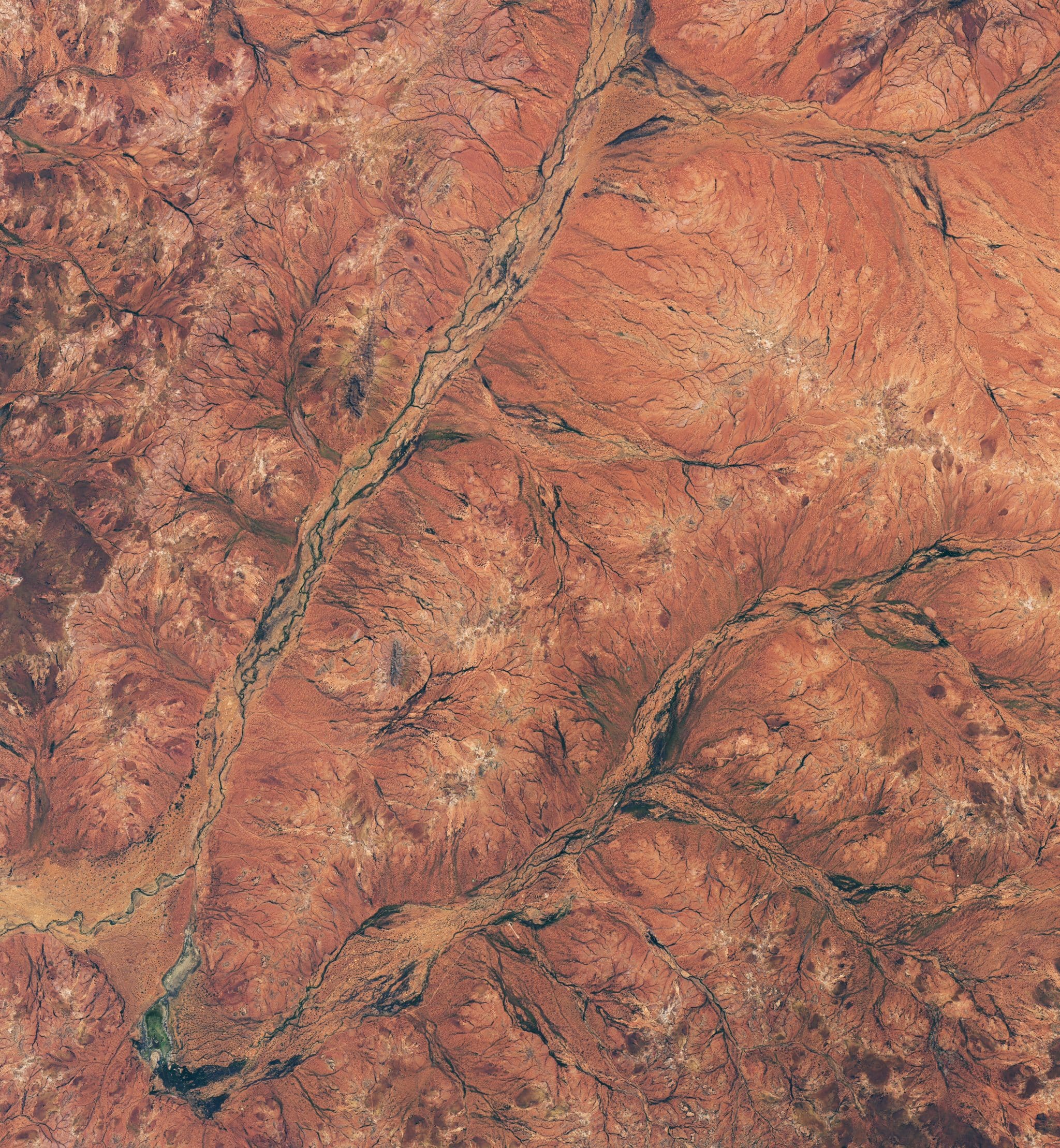 Та же местность 30 августа 2026 года после дождей. Снимок Landsat 8 / © Lauren Dauphin, NASA Earth Observatory; данные USGS