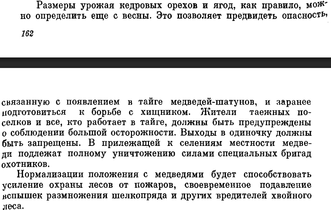 Если бы кто-то читал все эти научные книги, можно было бы каждую весну осматривать завязи кедровых орехов и определить, начинать ли заранее отстрел медведей. Но на деле никаких превентивных отстрелов хоккайдских масштабов нет, не было и не будет